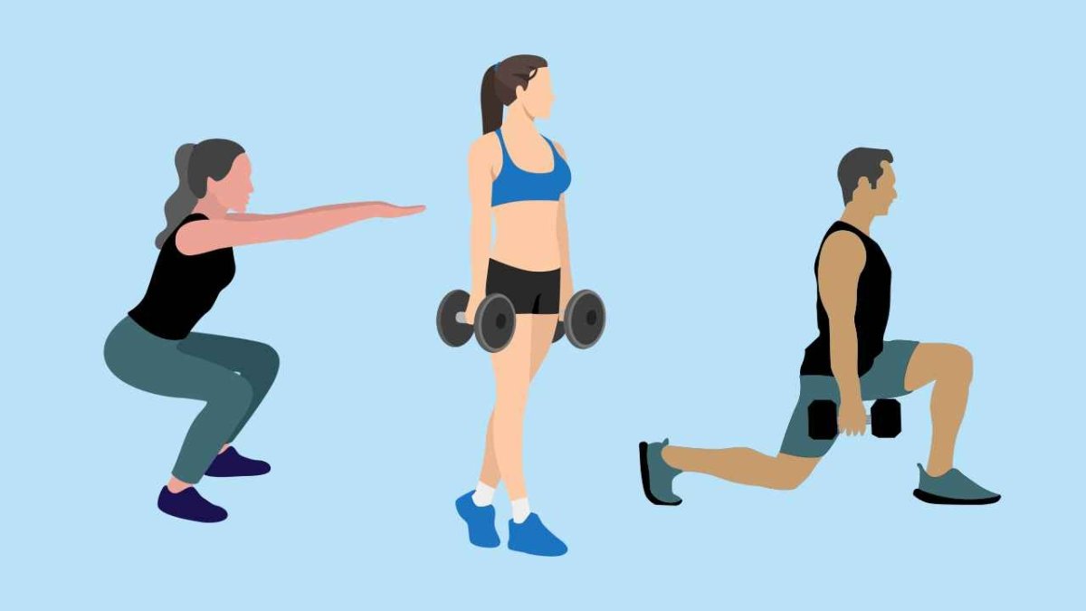 Basic Weight Movements The Importance of Functional Movements in Your Strength Training ...